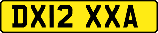 DX12XXA