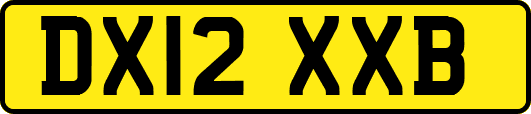 DX12XXB