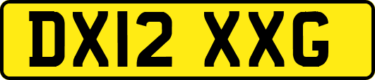 DX12XXG