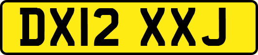 DX12XXJ