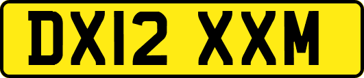 DX12XXM