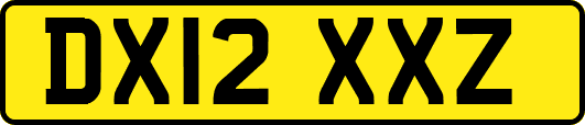 DX12XXZ