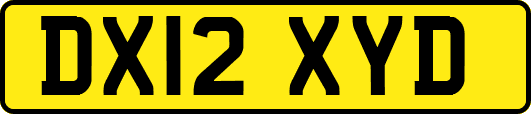 DX12XYD