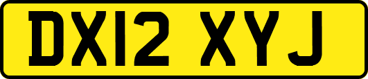DX12XYJ