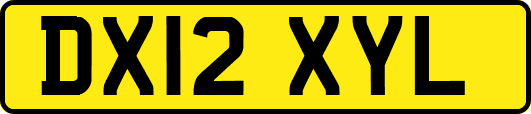 DX12XYL