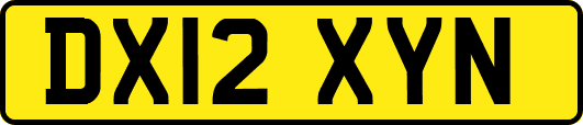 DX12XYN