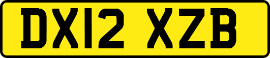 DX12XZB
