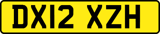 DX12XZH