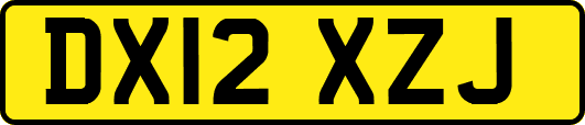 DX12XZJ