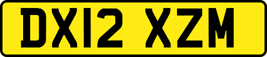 DX12XZM