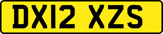 DX12XZS