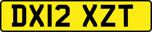DX12XZT