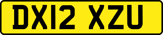 DX12XZU