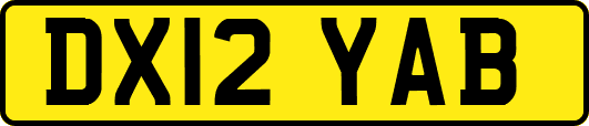 DX12YAB