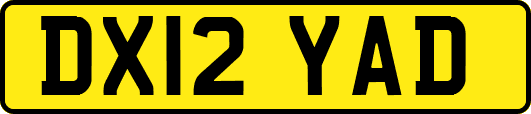 DX12YAD