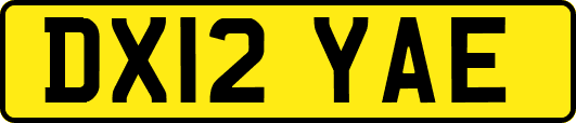 DX12YAE