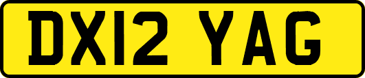 DX12YAG