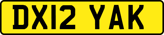 DX12YAK