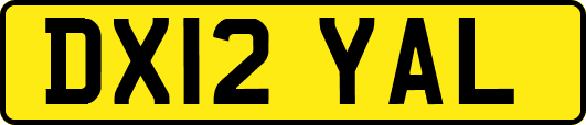 DX12YAL