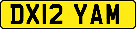 DX12YAM