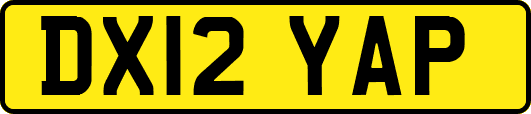 DX12YAP
