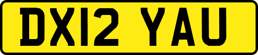 DX12YAU