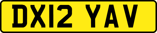 DX12YAV