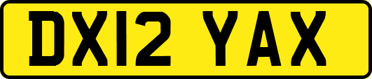 DX12YAX