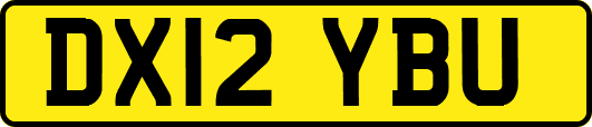 DX12YBU
