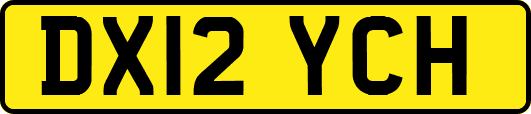 DX12YCH