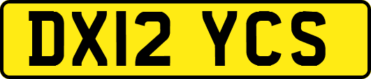 DX12YCS