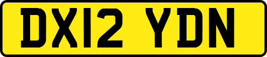 DX12YDN