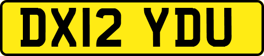 DX12YDU