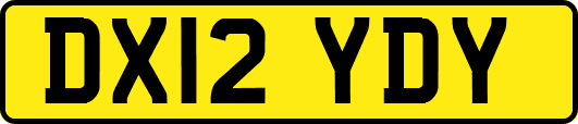 DX12YDY