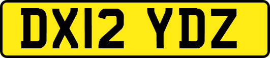 DX12YDZ