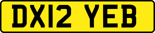 DX12YEB