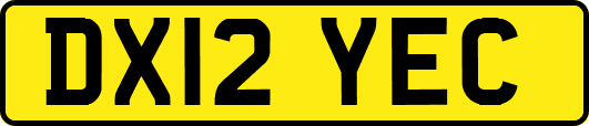 DX12YEC