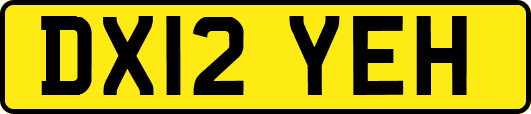 DX12YEH
