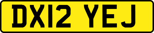 DX12YEJ