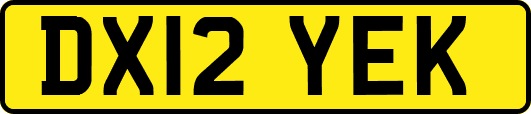 DX12YEK
