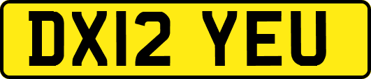 DX12YEU