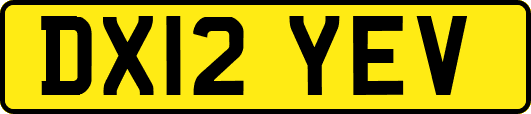 DX12YEV