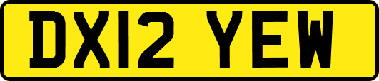 DX12YEW