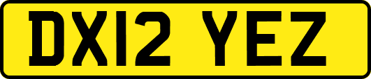 DX12YEZ