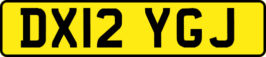 DX12YGJ