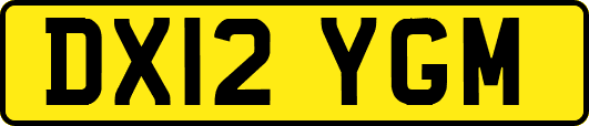 DX12YGM