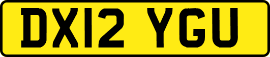 DX12YGU