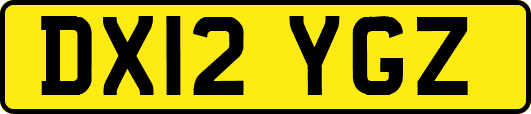 DX12YGZ