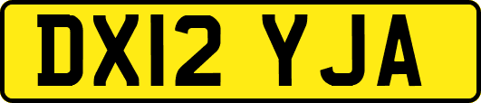 DX12YJA