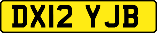 DX12YJB